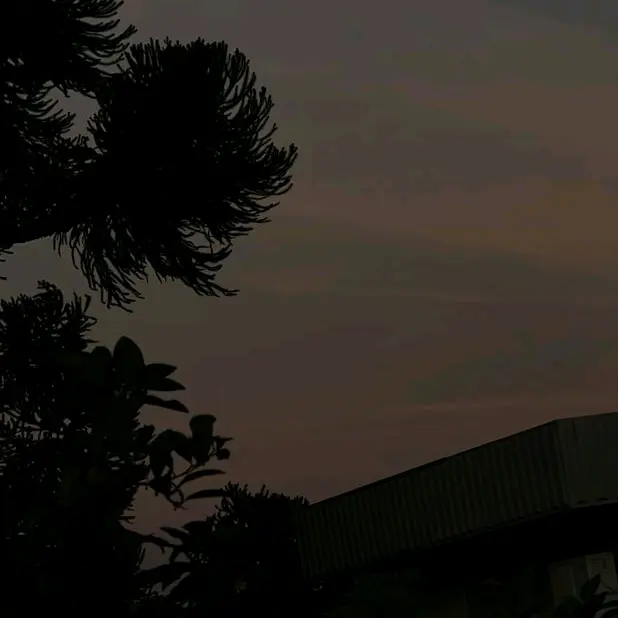 🎶 - suara asli