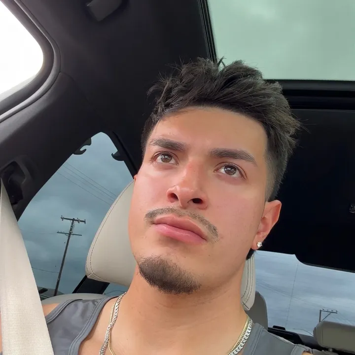 dylsarchive