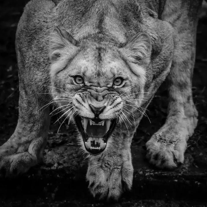 ✝️🔜 - suara asli