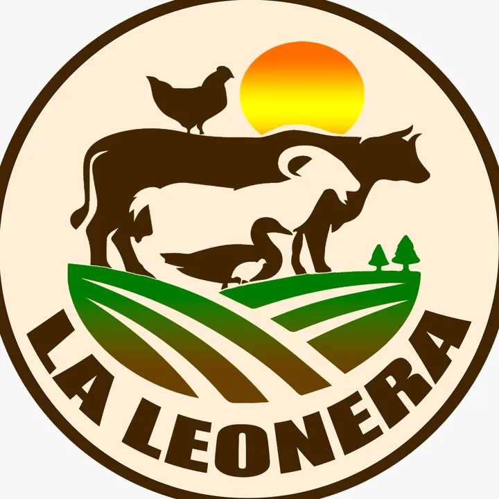 @laleoneraa