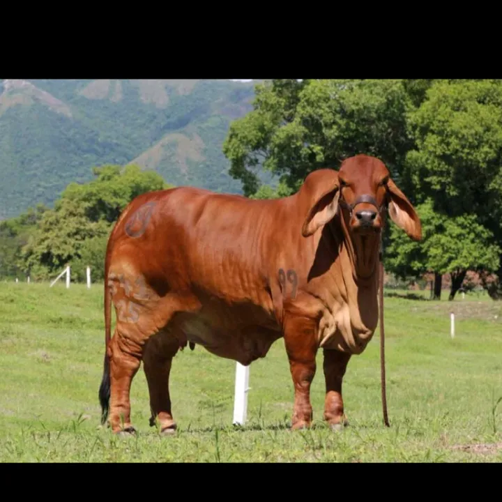 naturalezarancho