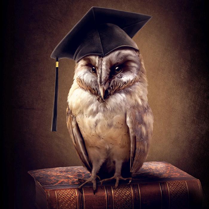 Ivan🦉Wise - suara asli