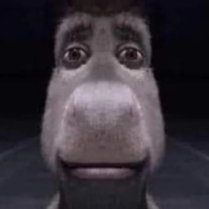@itsleaxen