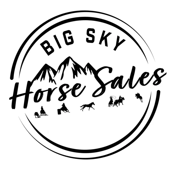 bigskyhorsesales