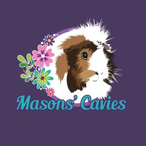 masons_cavies