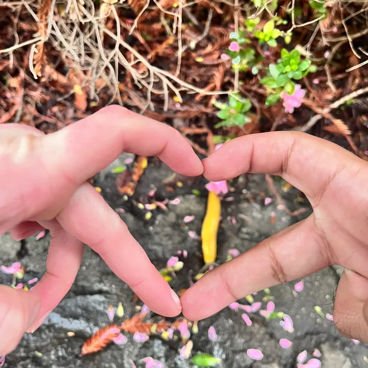 stuffandthingsstop