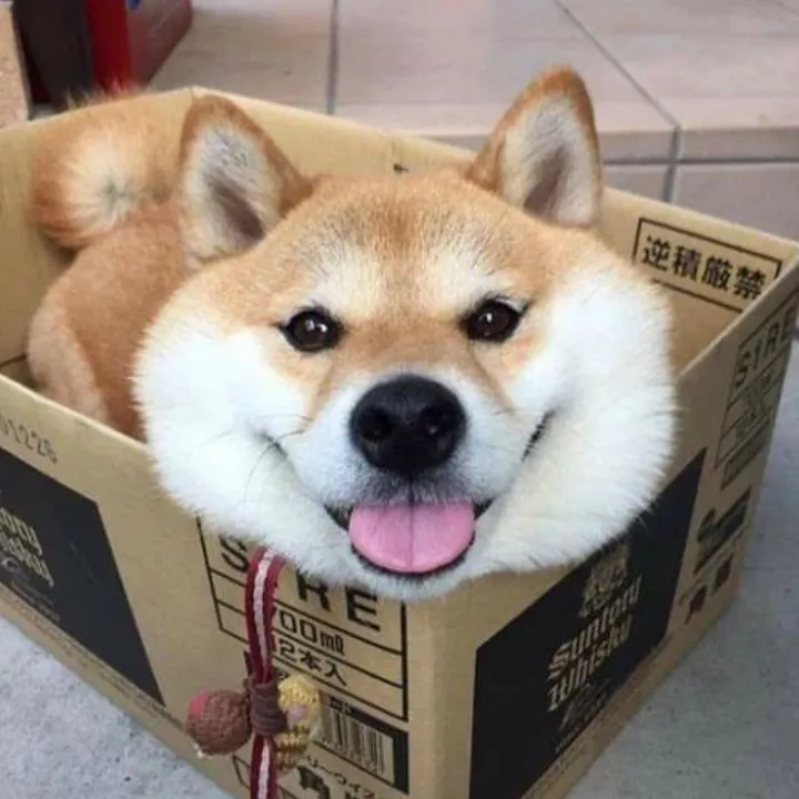 @bryanohan28