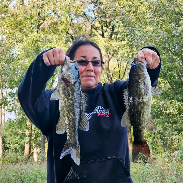 fishcinfam