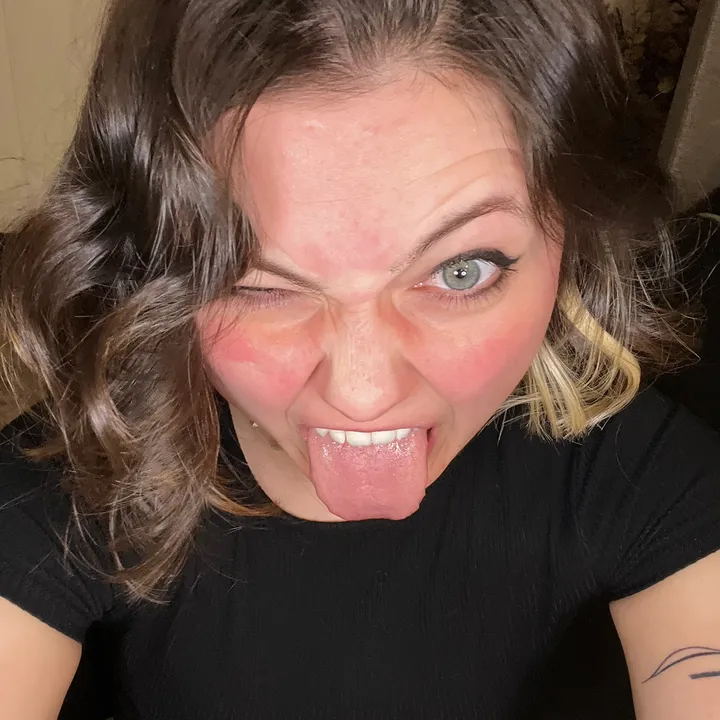 silly_goose_city