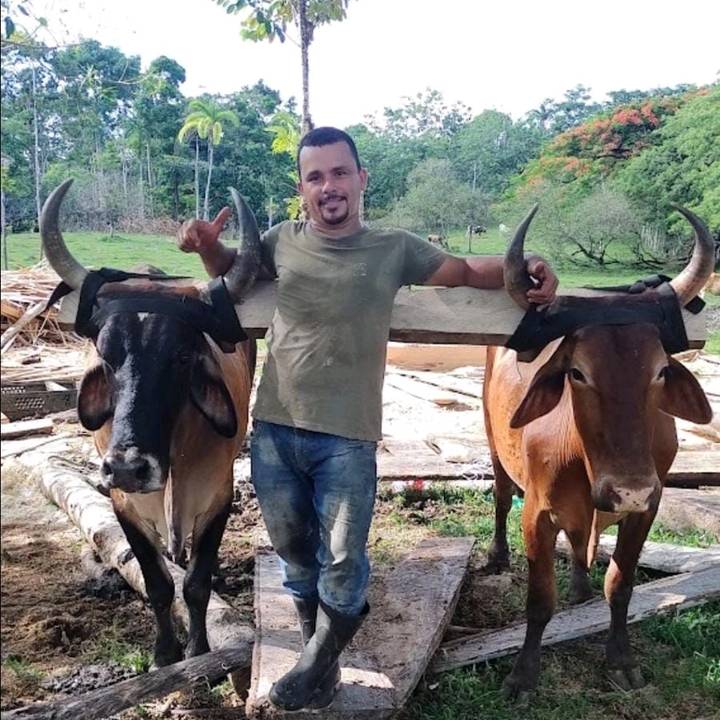 alialvarado739