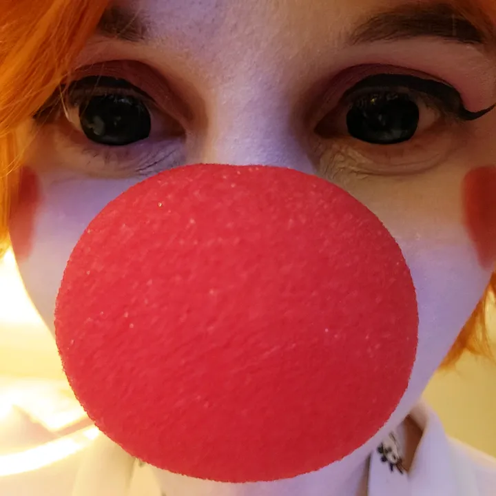 meddlesomepixie