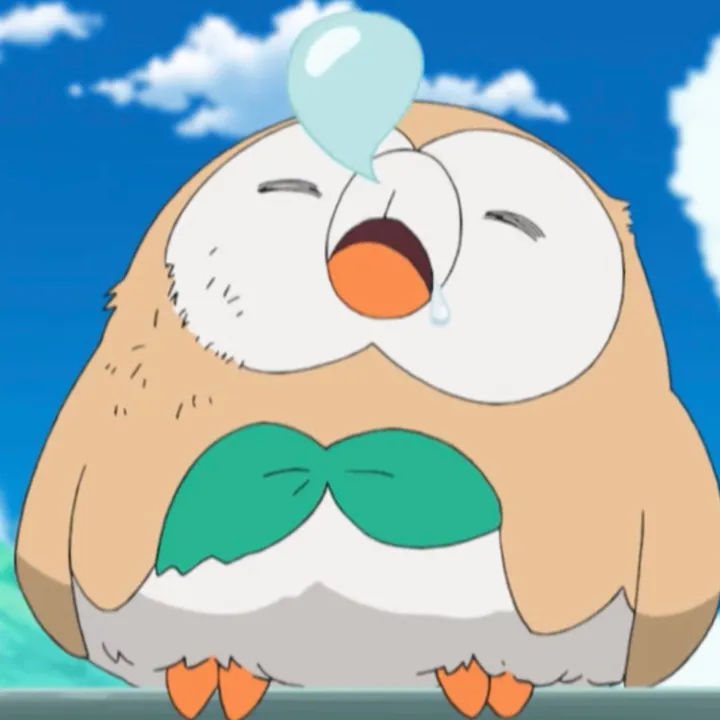 thepokeplaya