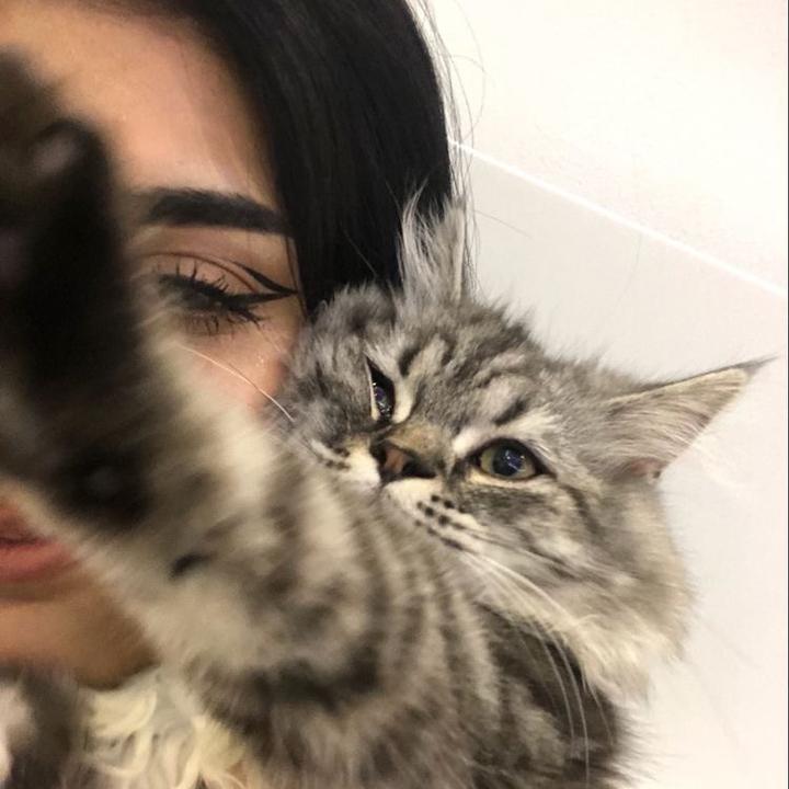 𝐥𝐞𝐲𝐥𝐚🫀 - suara asli