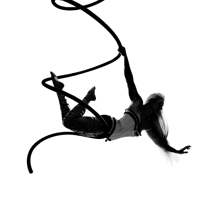 poleandaerialfitnessswfl