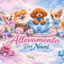 @allevamento.dei.n