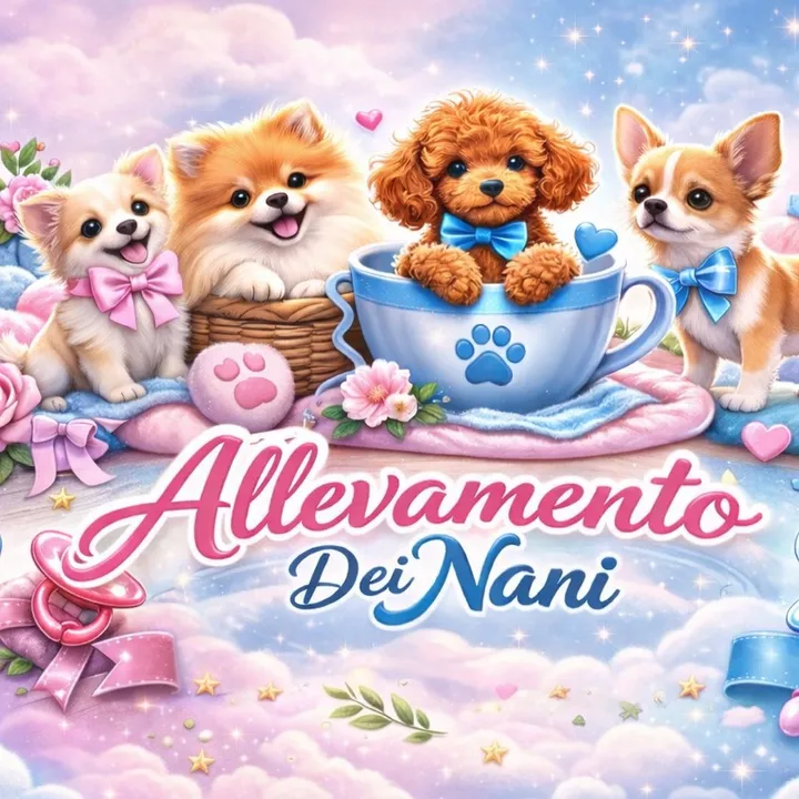 allevamento.dei.n