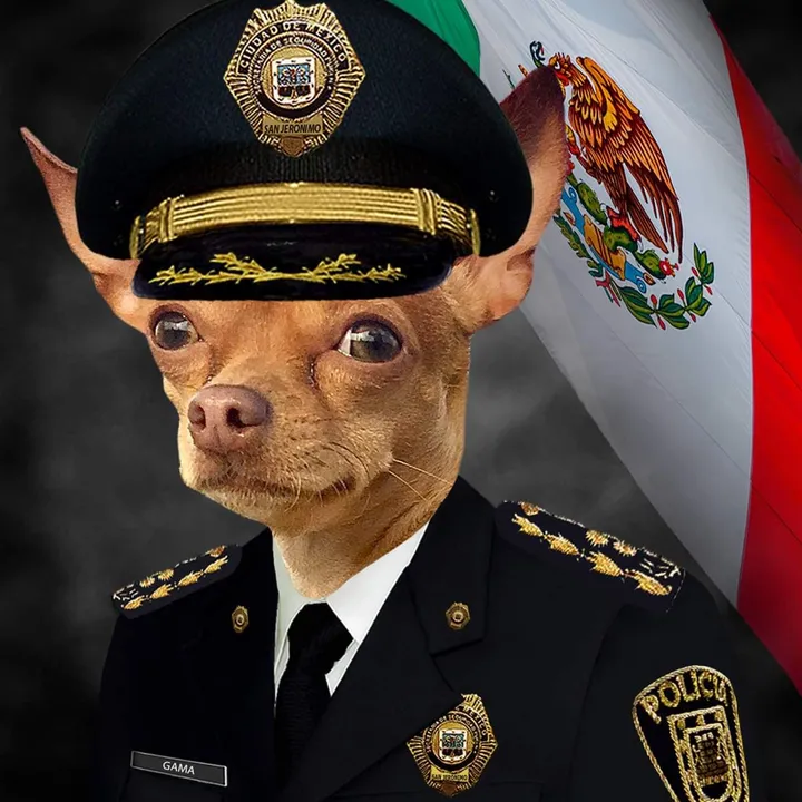 @somosmaslosbuenospolice