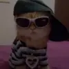 stuwupidd_