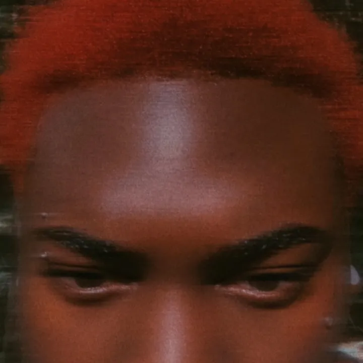theartfulloner