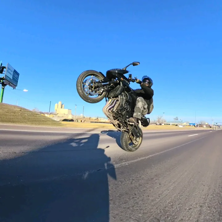 dylan.fz1