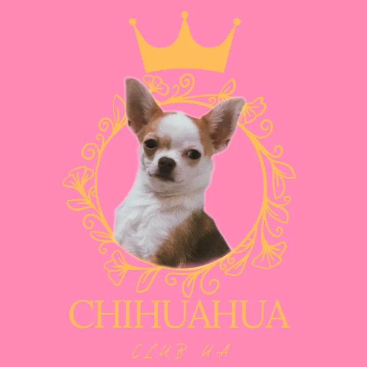 chihuahuaclub_ua