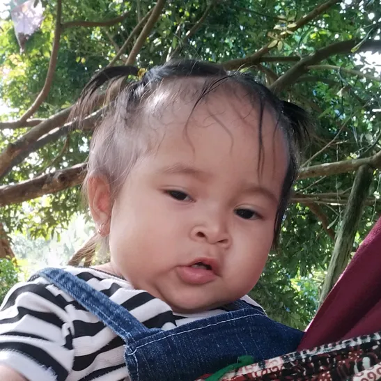 @cimplukan1
