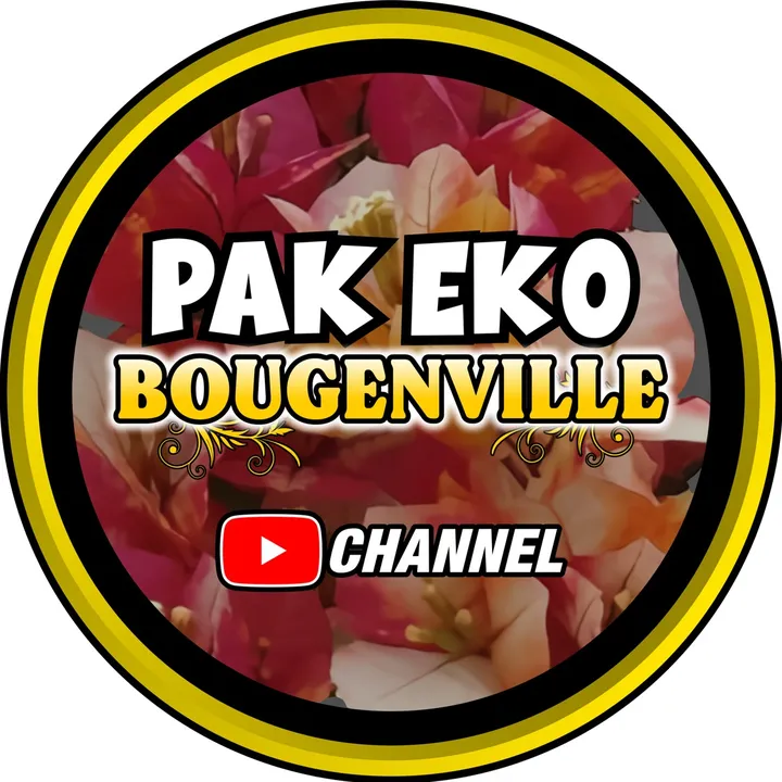pakekobougenville5
