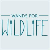 wandsforwildlife - suara asli