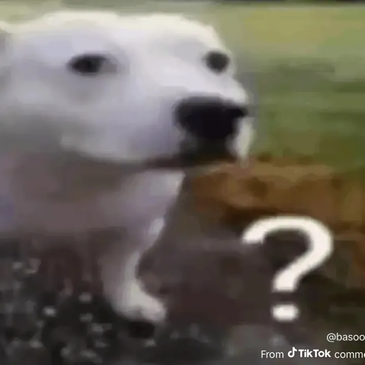 rpkej
