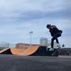 theregularmongopusher