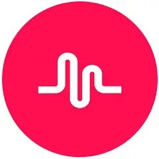 𝕞𝕦𝕤𝕚𝕔𝕒𝕝.𝕝𝕪 - Musical.ly