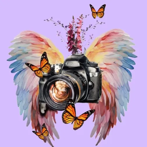 @angel_wing_photography