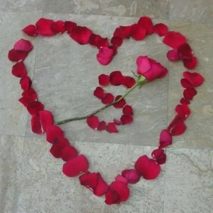 @sukhjitsinghchohan