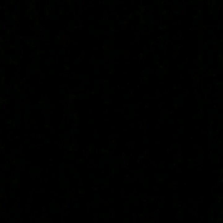yeriannyx.teran