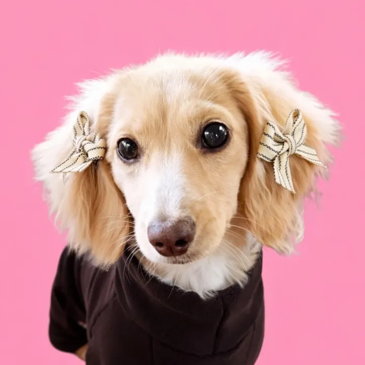 billiebeantheween