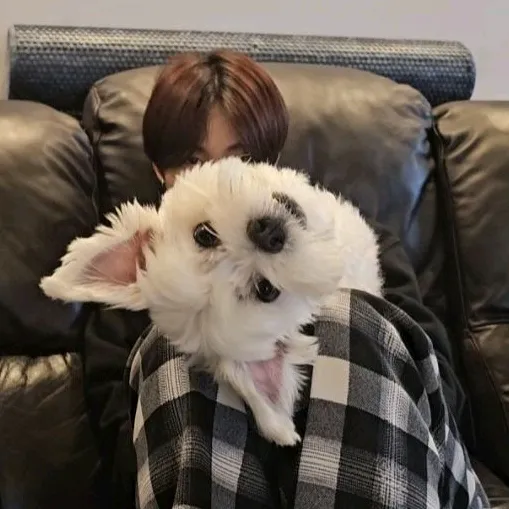 @lvrmint