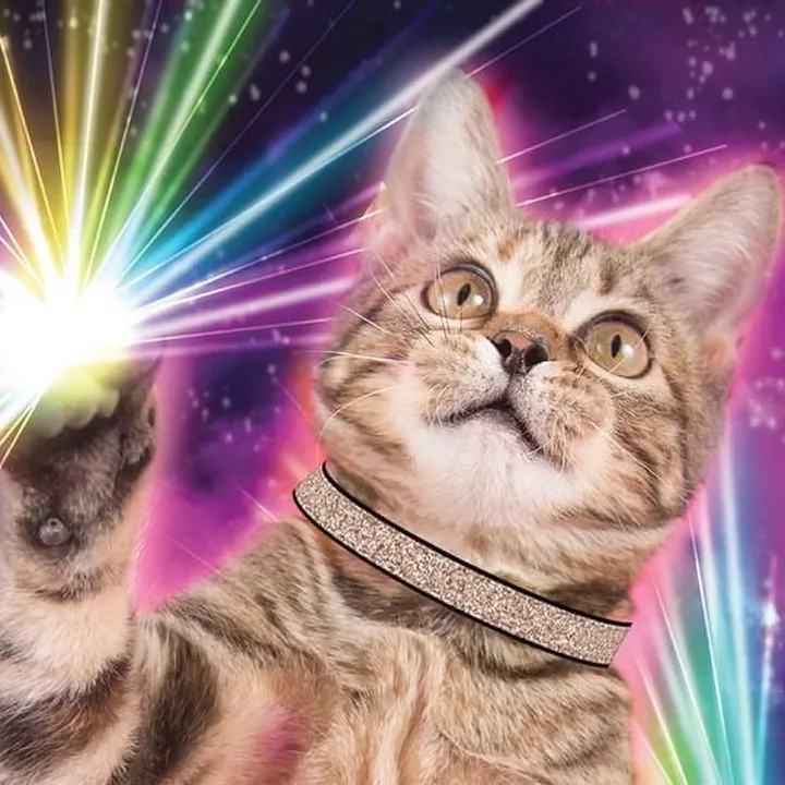 galaxycat7778