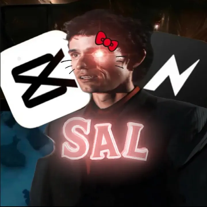 sallll542