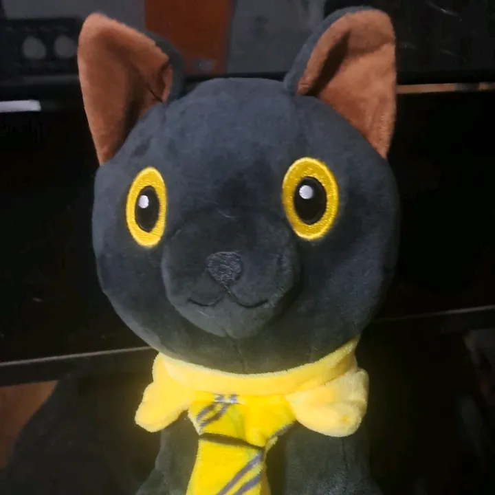 guntermeowsalots