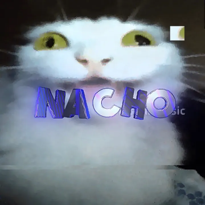 nacho_is_tuff006