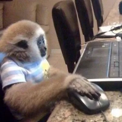 music.monke