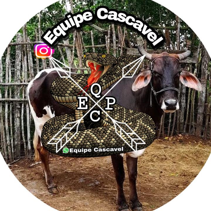 @equipe.cascavel._ - suara asli