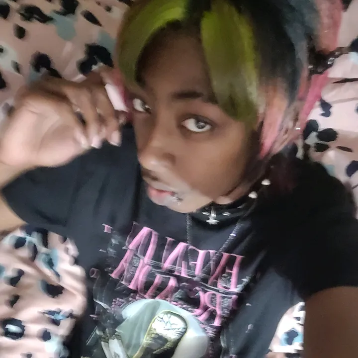 @mogiimouse