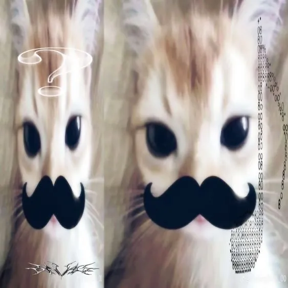 clzmisntavailable