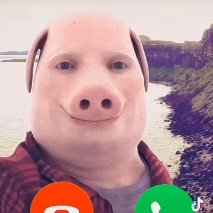 john - John pork