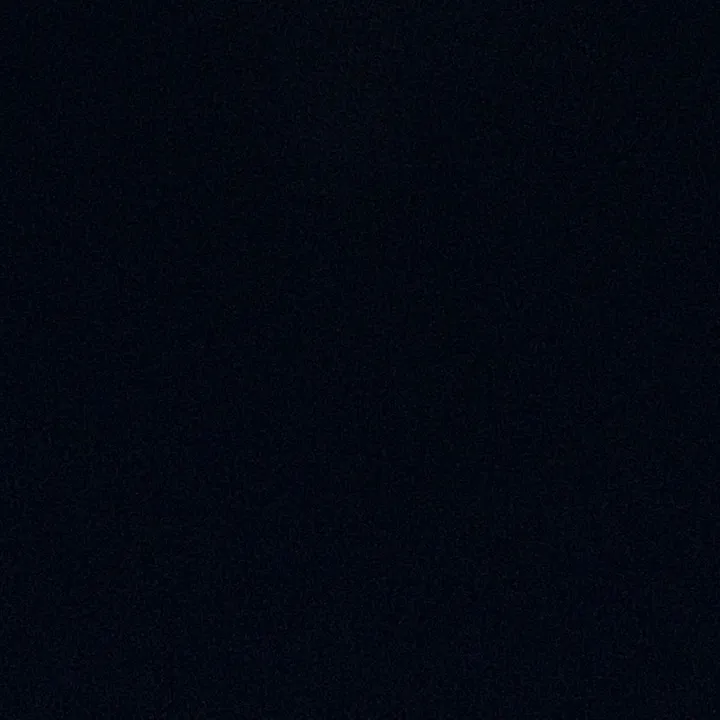 @mainevids