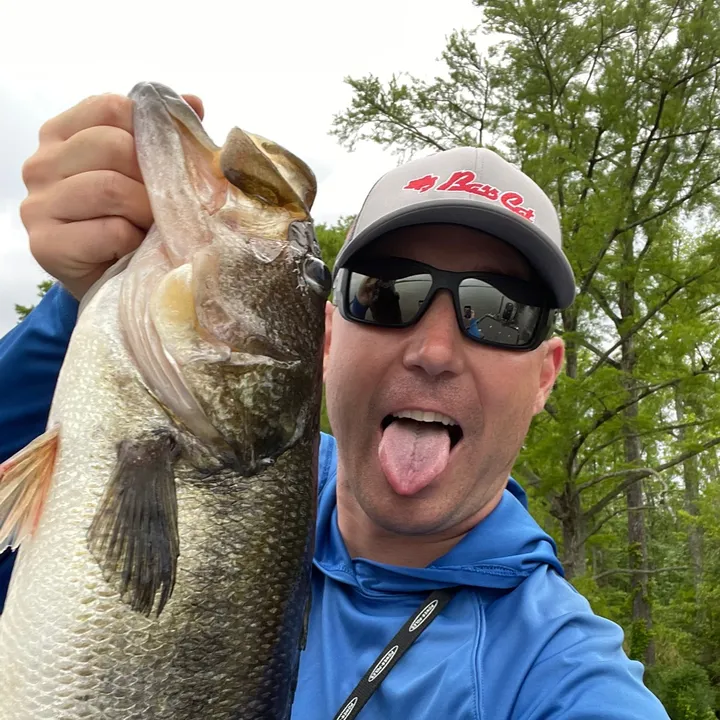 rlf_fishing