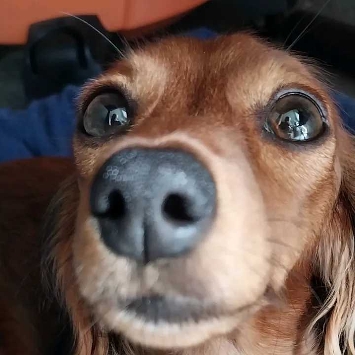 @filmguy13z