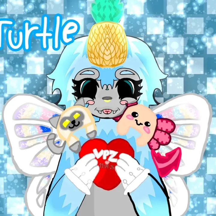 turtlevr29