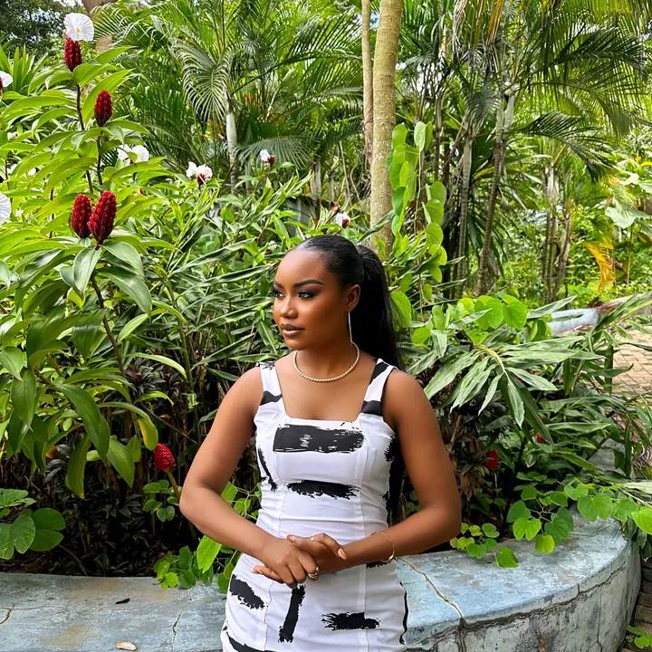 theprettyarike